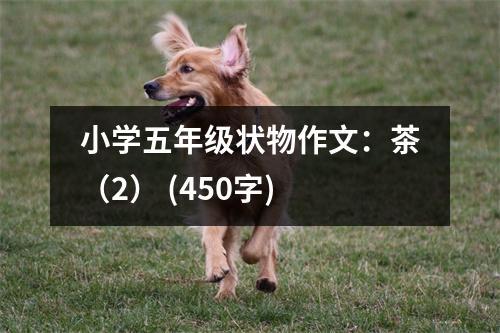 小學五年級狀物作文：茶（2） (450字)