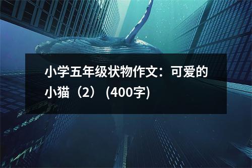 小學(xué)五年級狀物作文：可愛的小貓（2） (400字)