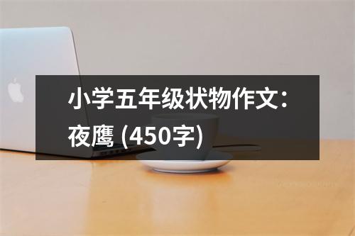 小學(xué)五年級(jí)狀物作文：夜鷹 (450字)