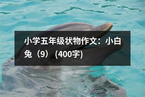 小學(xué)五年級(jí)狀物作文：小白兔（9） (400字)