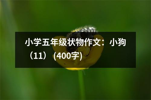 小學(xué)五年級(jí)狀物作文：小狗（11） (400字)