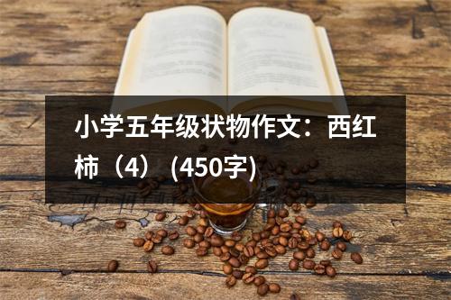 小學(xué)五年級(jí)狀物作文：西紅柿（4） (450字)