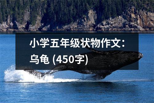 小學(xué)五年級狀物作文：烏龜 (450字)