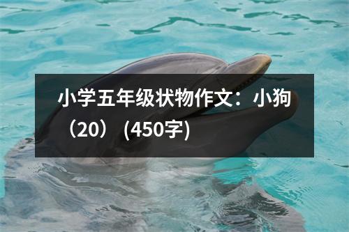 小學(xué)五年級(jí)狀物作文：小狗（20） (450字)