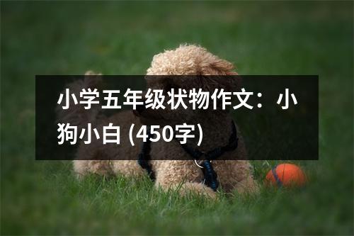 小學(xué)五年級(jí)狀物作文：小狗小白 (450字)