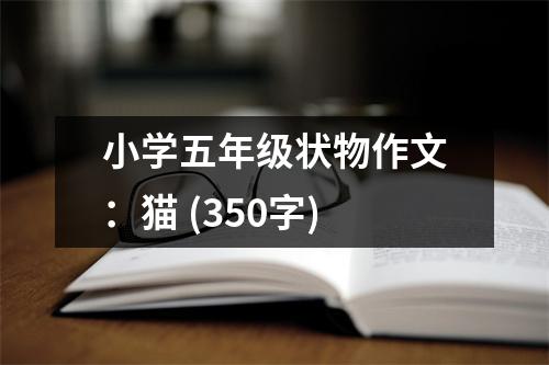 小學五年級狀物作文：貓 (350字)