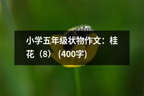 小學(xué)五年級(jí)狀物作文：桂花（8） (400字)