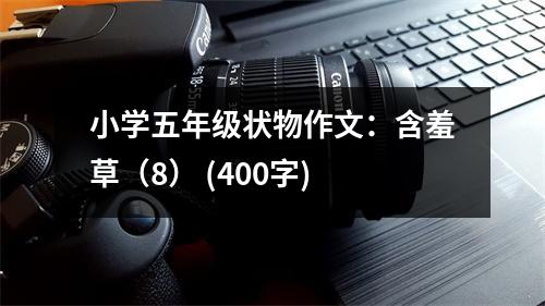 小學(xué)五年級(jí)狀物作文：含羞草（8） (400字)