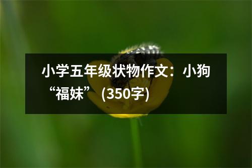 小學(xué)五年級狀物作文：小狗“福妹” (350字)