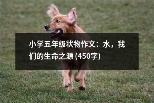 小學(xué)五年級(jí)狀物作文：水，我們的生命之源 (450字)