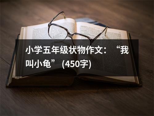 小學(xué)五年級狀物作文：“我叫小龜” (450字)