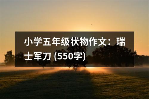 小學(xué)五年級狀物作文：瑞士軍刀 (550字)