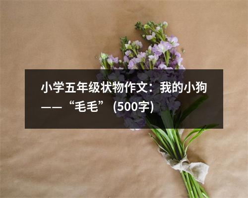 小學(xué)五年級(jí)狀物作文：我的小狗——“毛毛” (500字)