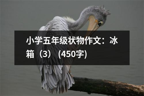 小學(xué)五年級(jí)狀物作文：冰箱（3） (450字)