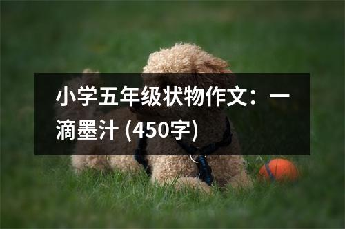 小學(xué)五年級狀物作文：一滴墨汁 (450字)