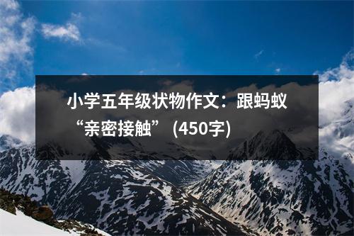 小學(xué)五年級(jí)狀物作文：跟螞蟻“親密接觸” (450字)