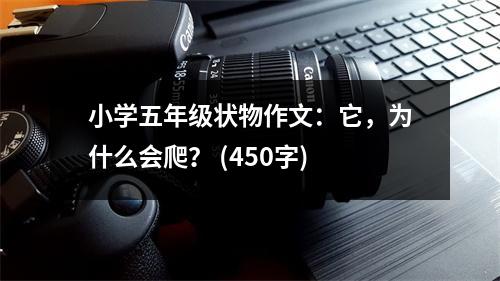 小學(xué)五年級狀物作文：它，為什么會爬？ (450字)