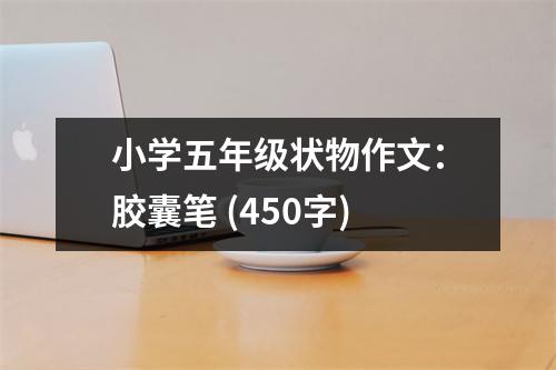 小學(xué)五年級(jí)狀物作文：膠囊筆 (450字)