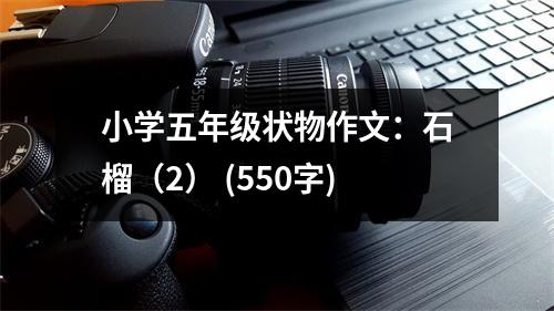 小學五年級狀物作文：石榴（2） (550字)