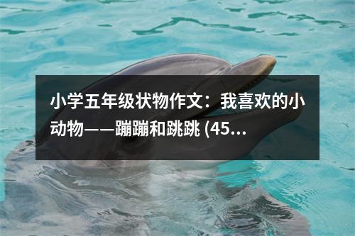 小學(xué)五年級狀物作文：我喜歡的小動物——蹦蹦和跳跳 (450字)