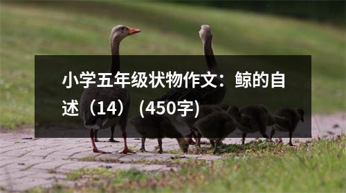 小學(xué)五年級(jí)狀物作文：鯨的自述（14） (450字)