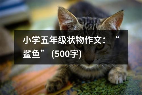 小學(xué)五年級(jí)狀物作文：“鯊魚” (500字)