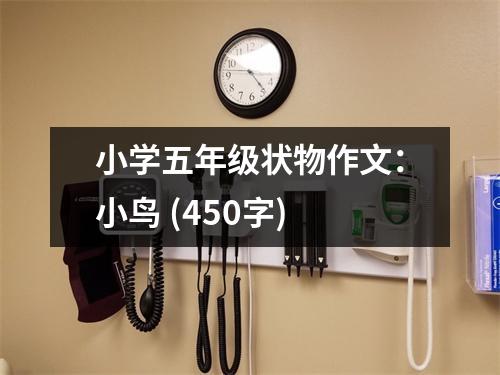 小學(xué)五年級狀物作文：小鳥 (450字)