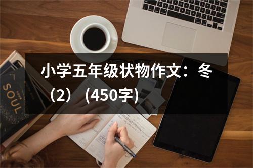小學(xué)五年級(jí)狀物作文：冬（2） (450字)