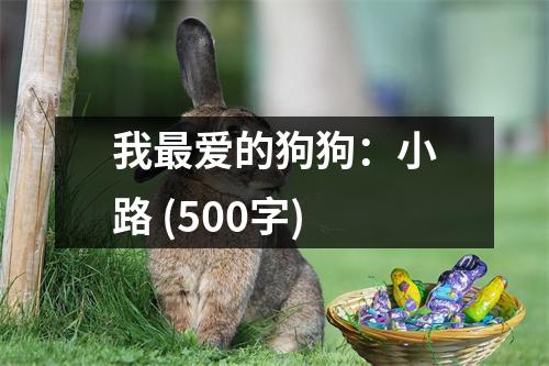 我最愛的狗狗：小路 (500字)