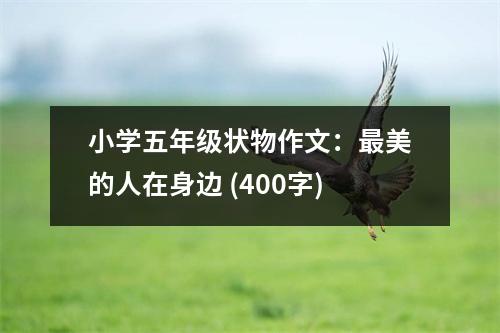 小學(xué)五年級狀物作文：最美的人在身邊 (400字)