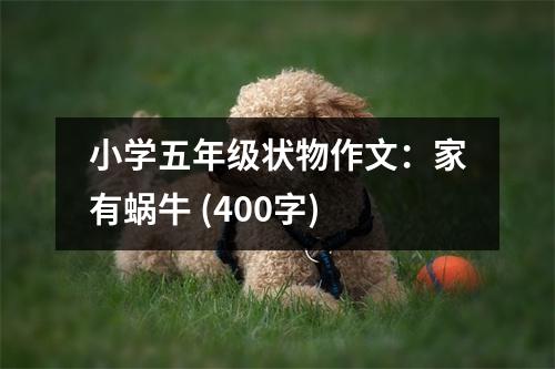 小學(xué)五年級(jí)狀物作文：家有蝸牛 (400字)