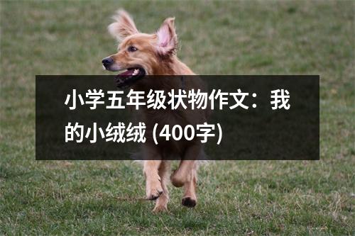 小學(xué)五年級(jí)狀物作文：我的小絨絨 (400字)