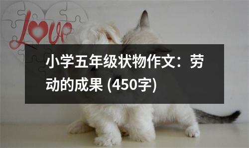 小學(xué)五年級狀物作文：勞動的成果 (450字)