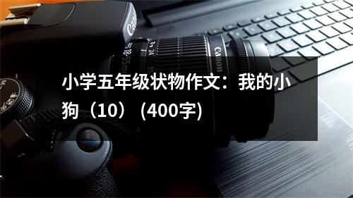 小學(xué)五年級狀物作文：我的小狗（10） (400字)