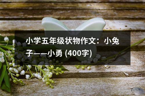 小學(xué)五年級狀物作文：小兔子——小勇 (400字)