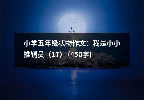 小學(xué)五年級狀物作文：我是小小推銷員（17） (450字)