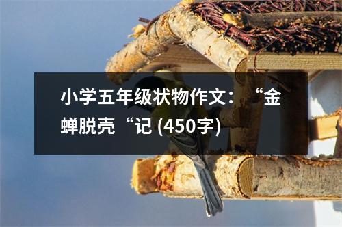 小學(xué)五年級狀物作文：“金蟬脫殼“記 (450字)