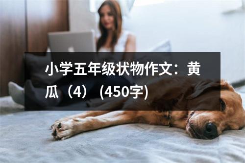小學(xué)五年級狀物作文：黃瓜（4） (450字)