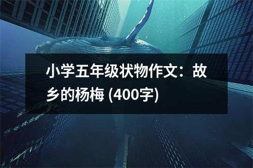 小學(xué)五年級(jí)狀物作文：故鄉(xiāng)的楊梅 (400字)