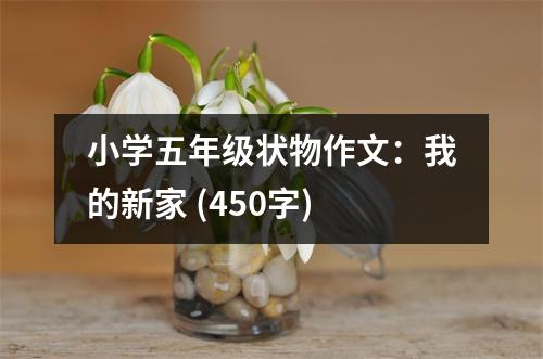 小學(xué)五年級狀物作文：我的新家 (450字)