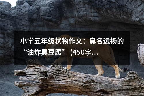 小學(xué)五年級狀物作文：臭名遠揚的“油炸臭豆腐” (450字)