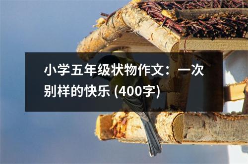 小學五年級狀物作文：一次別樣的快樂 (400字)