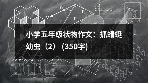小學(xué)五年級狀物作文：抓蜻蜓幼蟲（2） (350字)
