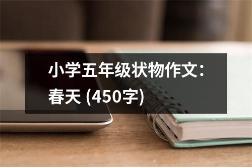 小學(xué)五年級(jí)狀物作文：春天 (450字)