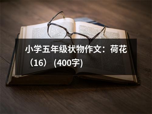 小學(xué)五年級(jí)狀物作文：荷花（16） (400字)