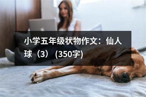 小學(xué)五年級狀物作文：仙人球（3） (350字)