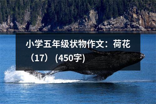 小學(xué)五年級(jí)狀物作文：荷花（17） (450字)