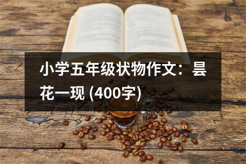 小學五年級狀物作文：曇花一現(xiàn) (400字)