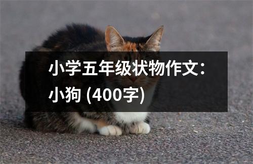 小學(xué)五年級狀物作文：小狗 (400字)
