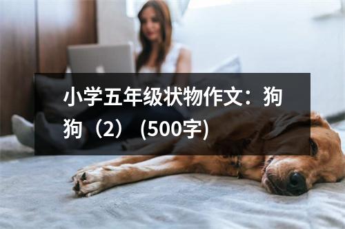 小學(xué)五年級(jí)狀物作文：狗狗（2） (500字)